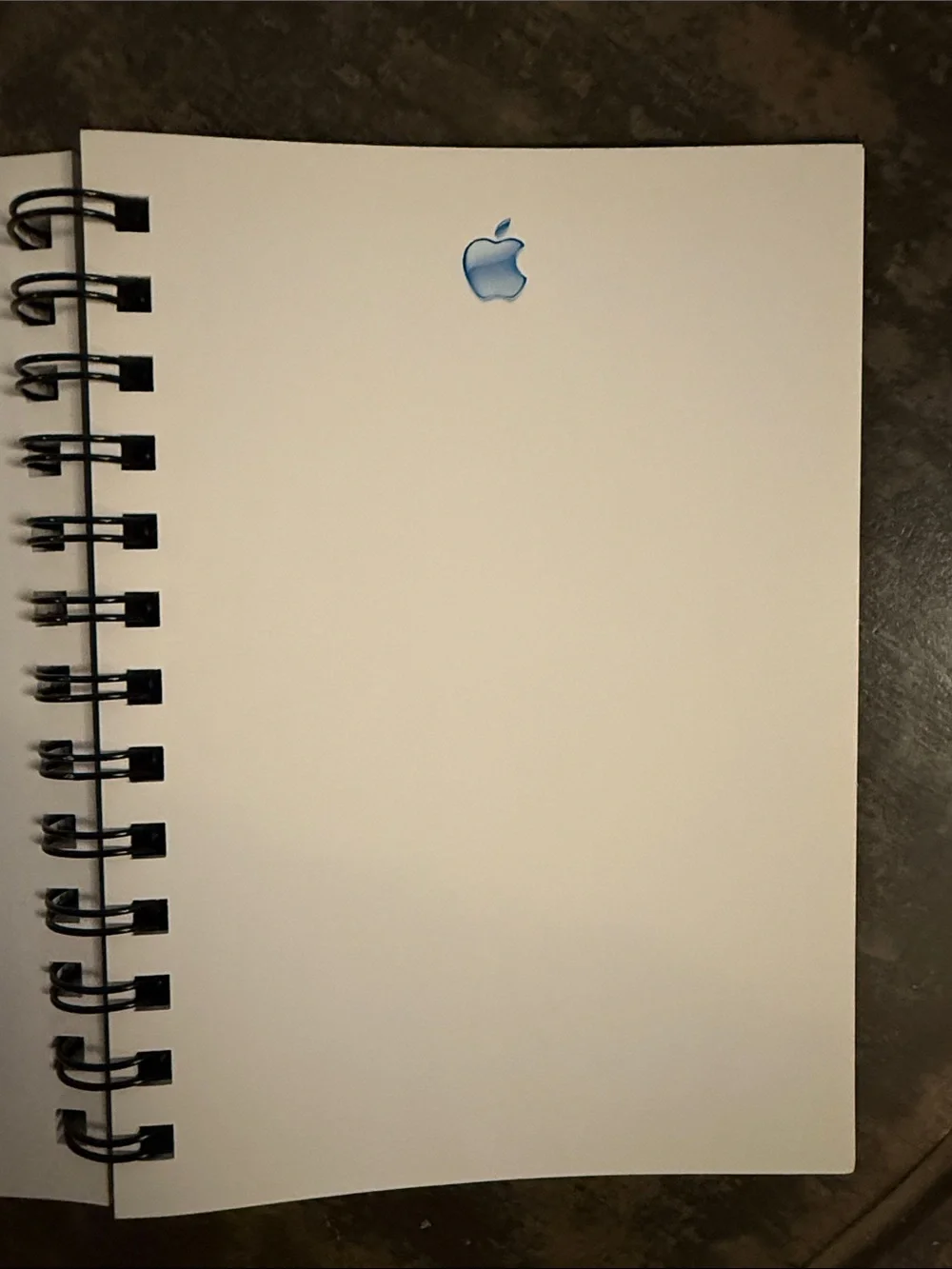 Rare Vintage Apple Internal Training Spiral Notebook Blank Pages + Blue Logo